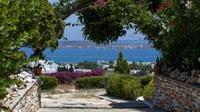 Aloe Paros Suites And Studios Дриос Экстерьер фото